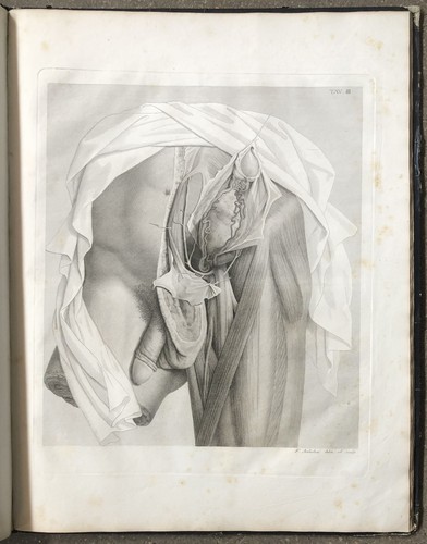 1819 antonio scarpa - 1819,